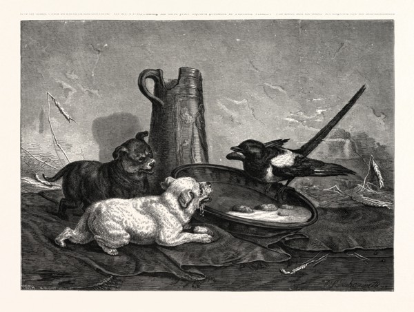 AN UNBIDDEN GUEST. Dogs and bird dinner.