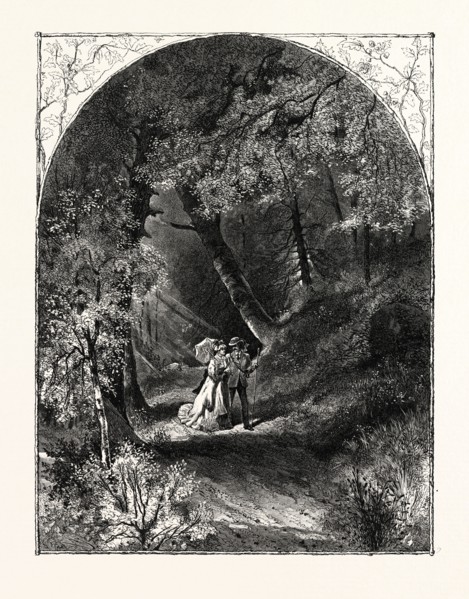 LOVER'S WALK, SAWKILL GLEN, PA. H. BISBING