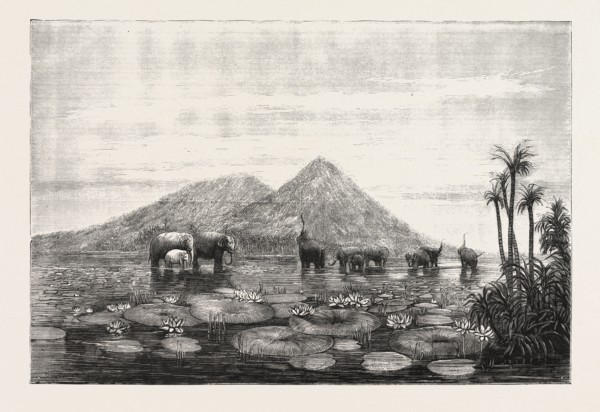 THE GREAT TANK OF MINERY IN THE ISLAND OF CEYLON, CONSTRUCTED BY KING MAHA SEN, 500 YEARS B.C., Sri