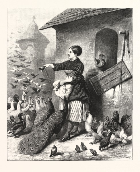 THE DINNER BELL: A SCENE NEAR SILBERHAUSEN, SAXONY, GERMANY, ENGRAVING 1876