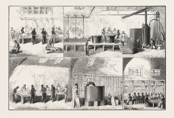 FOOD SUPPLY, MANUFACTURE OF CONDENSED SOUPS, CUTTING-UP THE BEEF, THE CONCENTRATING BOILERS-SORTING