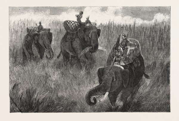 LIFE IN INDIA: TRAVELLING IN BURMA, ENGRAVING 1876