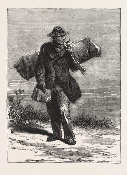 THE BIRD CATCHER.,MAN, OUTDOOR, COUNTRY SIDE, ENGRAVING 1876, UK, britain, british, europe, united