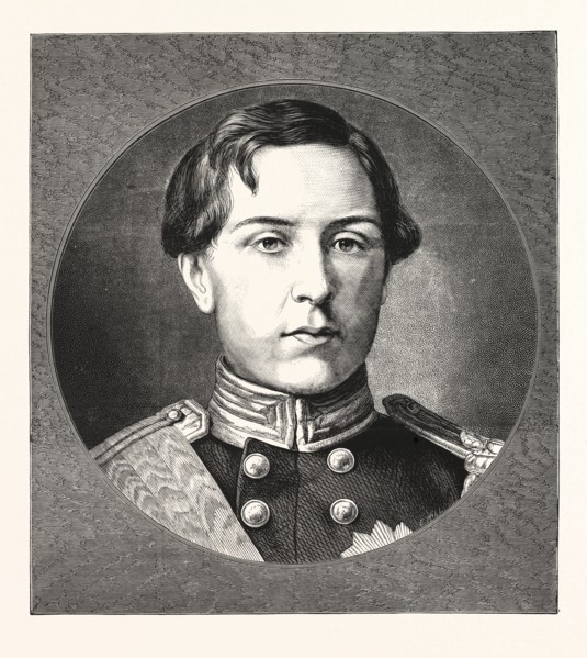 HIS MAJESTY THE KING OF PORTUGAL, ENGRAVING 1876