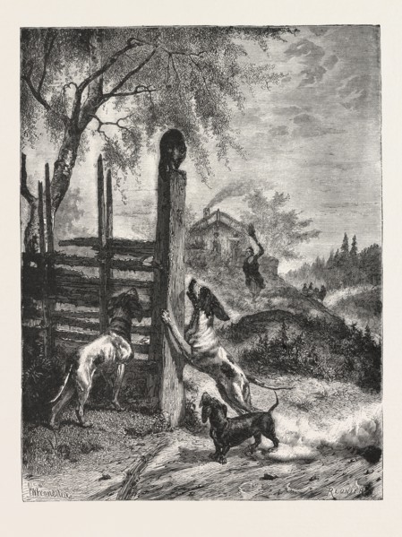 THE BESIEGED FAVOURITE From the Picture by B. y. G. Brandelius ENGRAVING 1876