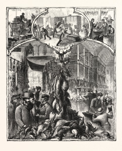 THE SHOOTING SEASON,  GAME IN THE LONDON MARKETS, ENGRAVING 1876, UK, britain, british, europe,