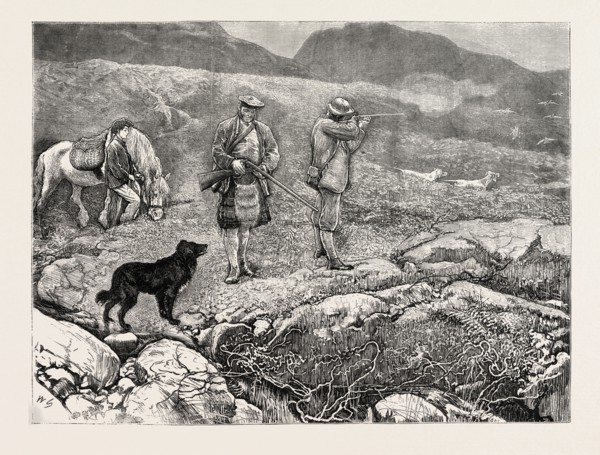 GROUSE SHOOTING, 1870