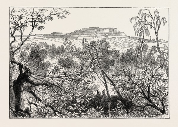 A PEEP AT MONT VALERIEN: THE WOODS OF CELLE ST. CLOUD, FRANCE, 1870