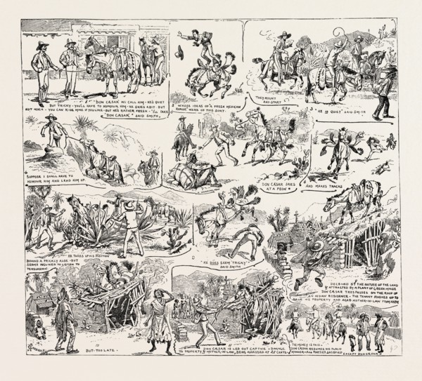 MISADVENTURES IN MEXICO, 1888 engraving