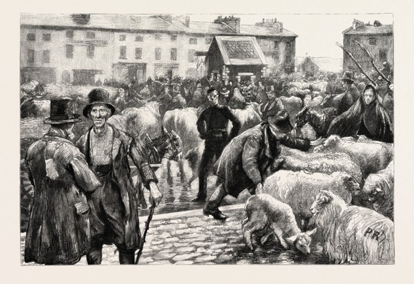 A CATTLE FAIR, COUNTY GALWAY IRELAND, 1888 engraving