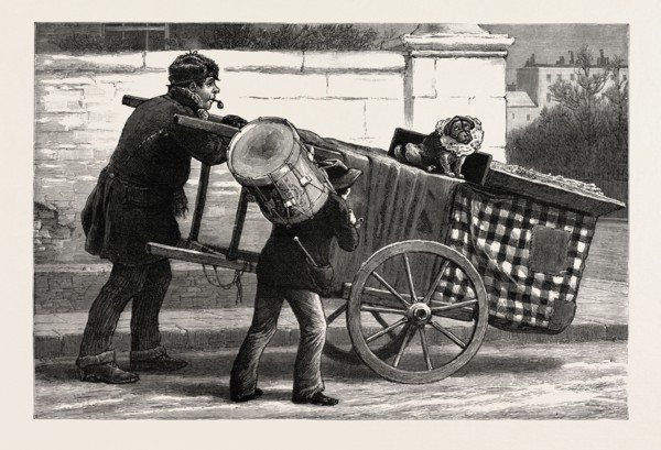 THE RENEWAL OF THE MUZZLING ORDER DOG TOBY MUZZLED, engraving 1890, uk, britain, british, united