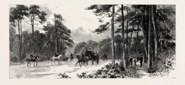 BOURNEMOUTH, GERVIS ROAD, engraving 1890, UK, U.K., Britain, British, Europe, United Kingdom, Great