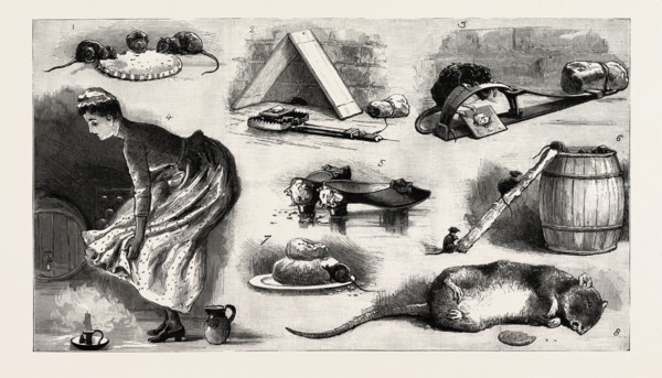 THE RAT PLAGUE IN THE COUNTRY, 3. La Grippe, engraving 1890
