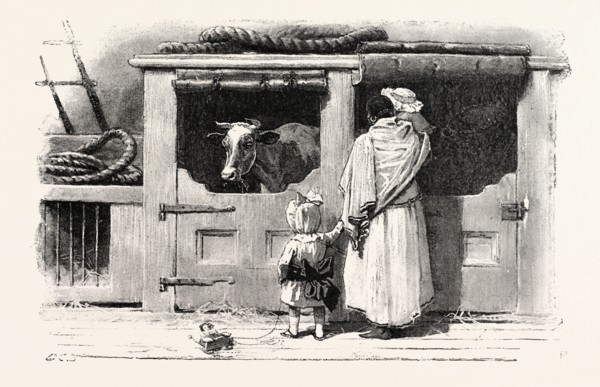 ON A PENINSULAR AND ORIENTAL COMPANY'S STEAMER, engraving 1890