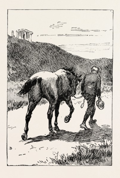 A MORNING RIDE IN ATHENS, GREECE, But my zest for the excursion has gone, and I turn and sadly