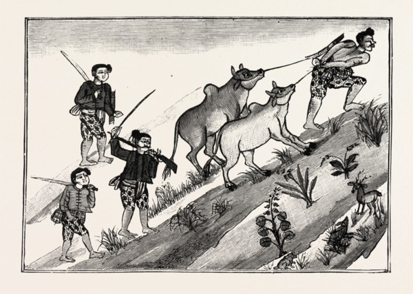 LIFE OF A BURMESE DACOIT, BUT ON REACHING MAN'S ESTATE JOINS A BAND OF DACOITS AND CATTLE LIFTERS,