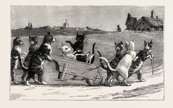 She wished them good night, and went up to bed; When to ! in the morning, The cats were all fled.