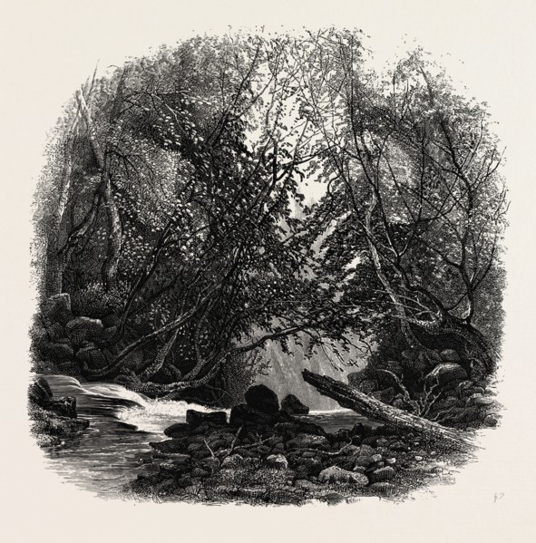 Head of the Staubbach, Bernese oberland, Berner Oberland, Switzerland, 19th century engraving