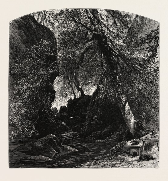 The Dargle, Ireland, Irish, Eire, 19th century engraving