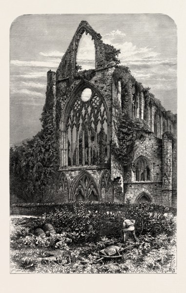 WEST FRONT OF TINTERN ABBEY, UK, U.K., Britain, British, Europe, United Kingdom, Great Britain,