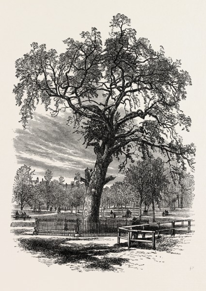 BOSTON COMMON, UNITED STATES OF AMERICA, US, USA, 1870s engraving
