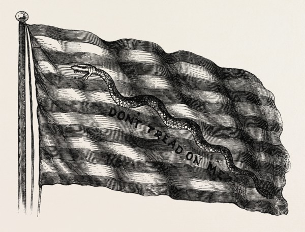 RATTLESNAKE FLAG, STEPS TOWARDS INDEPENDENCE, UNITED STATES OF AMERICA, US, USA, 1870s engraving