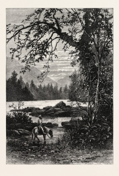 VIEW IN NORTH CAROLINA, UNITED STATES OF AMERICA, US, USA, 1870s engraving