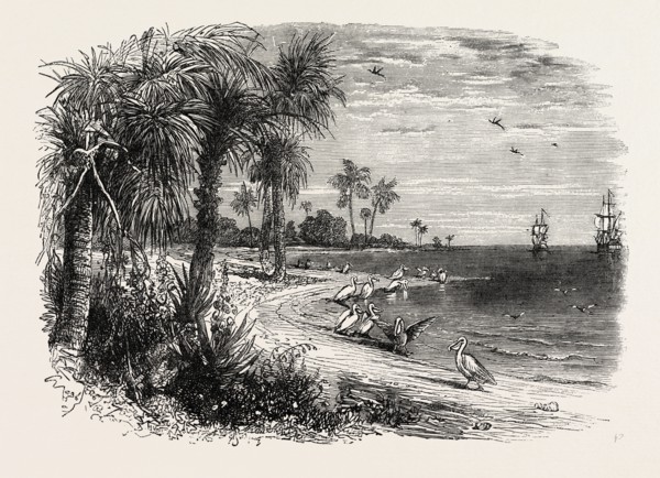 VIEW ON THE COAST OF FLORIDA, UNITED STATES OF AMERICA, US, USA, 1870s engraving