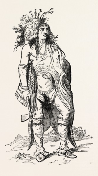 NORTH AMERICAN INDIAN, US, USA, 1870s engraving