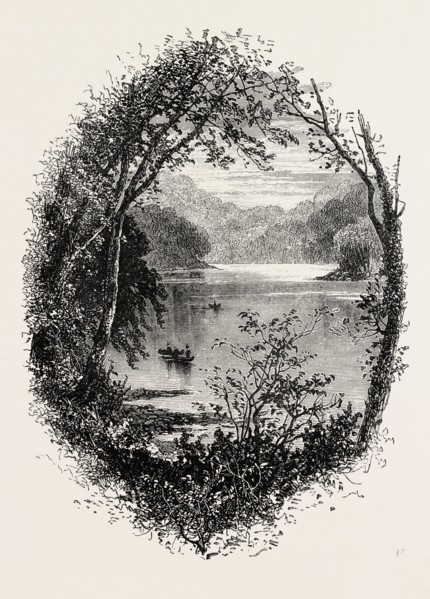 VIEW ON THE SCHUYLKILL, US, USA, 1870s engraving
