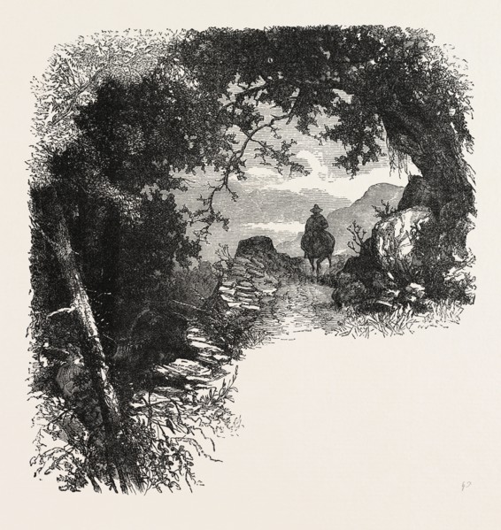 A ROAD IN MARYLAND, UNITED STATES OF AMERICA, US, USA, 1870s engraving
