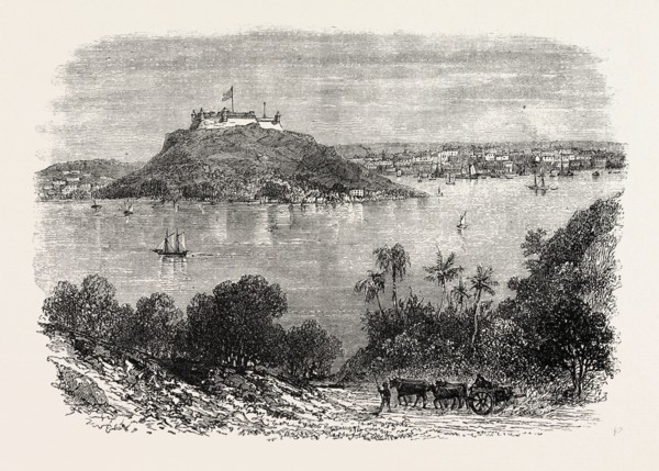 HAVANNAH HARBOUR, SHOWING WHERE THE FIFTY INVADERS WERE SHOT, 1870s engraving