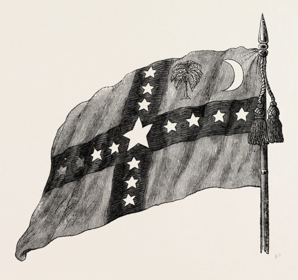THE SOUTH CAROLINA FLAG, UNITED STATES OF AMERICA, AMERICAN HISTORY, US, USA, 1870s engraving