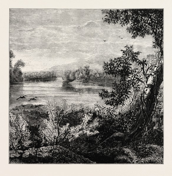 VIEW IN PENNSYLVANIA, UNITED STATES OF AMERICA, US, USA, 1870s engraving