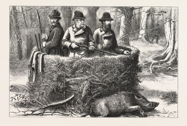 THE EMPEROR OF GERMANY AT AN IMPERIAL BOAR HUNT