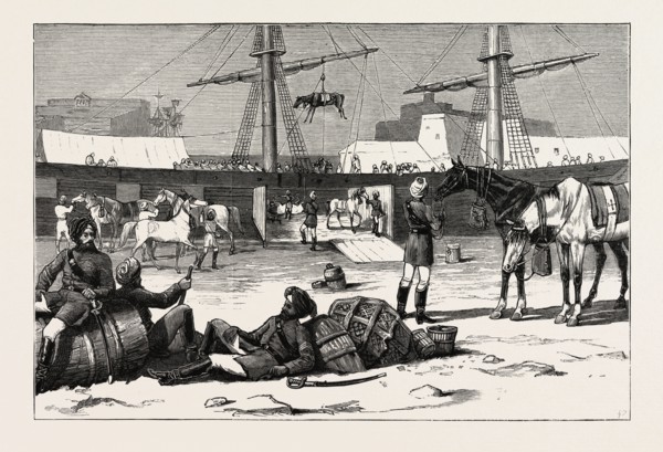 OUR INDIAN CONTINGENT â€î LANDING TROOP HORSES OF THE NINTH BENGAL CAVALRY AT MALTA