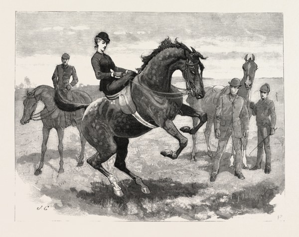 DRAWN BY JOHN CHARLTON, HORSES, engraving 1884, life in Britain, UK, britain, british, europe,