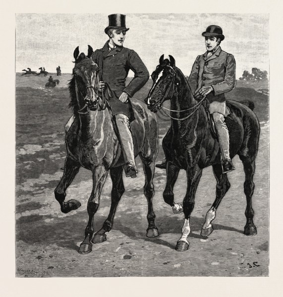 DRAWN BY JOHN CHARLTON, HORSES, engraving 1884, life in Britain, UK, britain, british, europe,