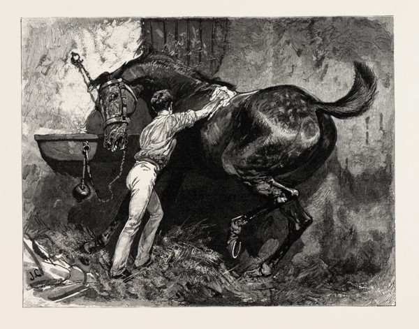 DRAWN BY JOHN CHARLTON Rubbing down the Dancing Master, engraving 1884, life in Britain, UK,