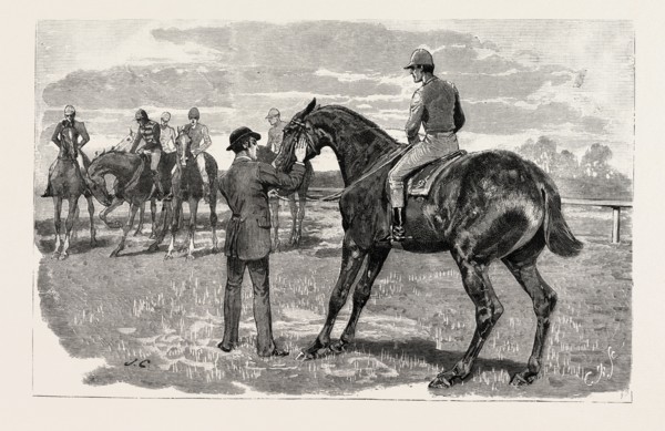 DRAWN 'BY JOHN CHARLTON, HORSE, engraving 1884, life in Britain, UK, britain, british, europe,