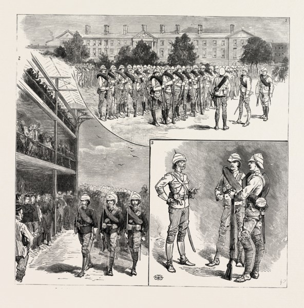 THE CAMEL CORPS FOR THE NILE EXPEDITION, Parade of the Detachment. 2. Arrival of the Royal Horse