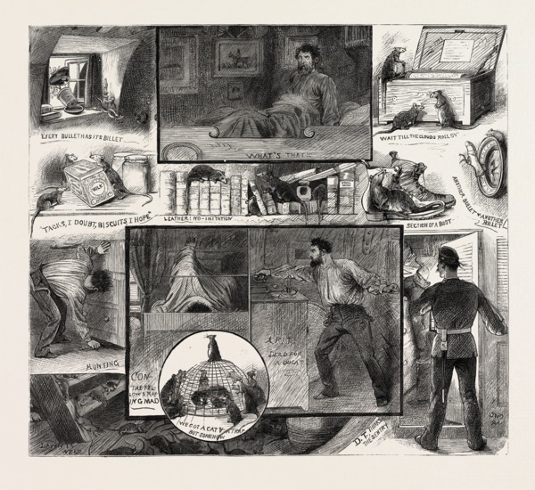 RATS ON BOARD SHIP A MIDNIGHT FANTASY, ENGRAVING 1884