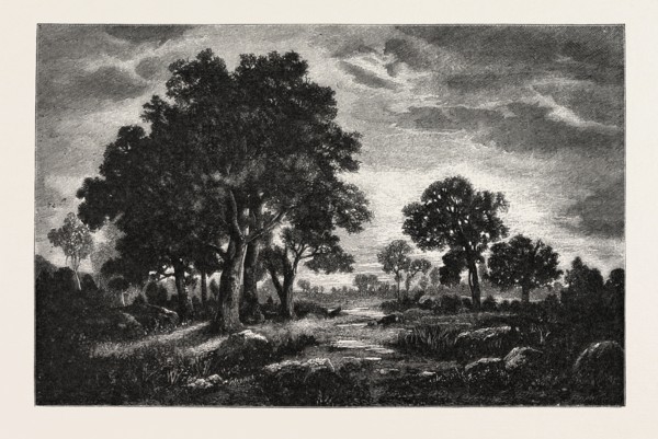 AT FONTAINEBLEAU, FRANCE,  ENGRAVING 1882
