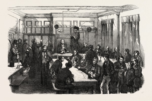 FANCY DOG SHOW, 1851 engraving