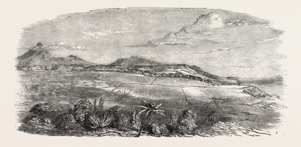 CROFTON PARK, OMATA DISTRICT, NEW ZEALAND, 1851 engraving