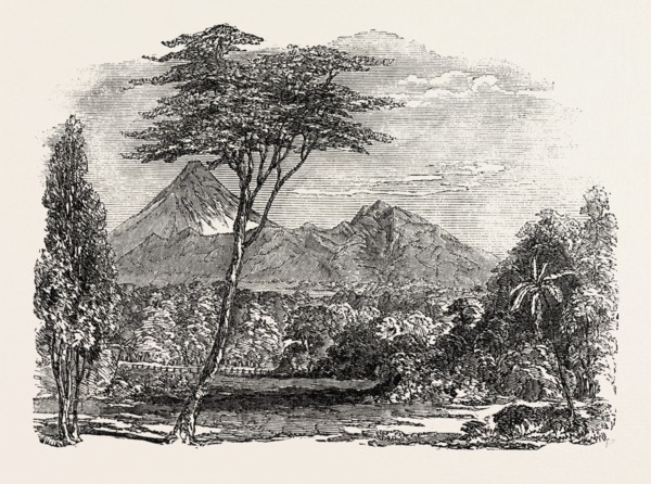 VIEW IN CROFTON PARK, NEW ZEALAND, 1851 engraving