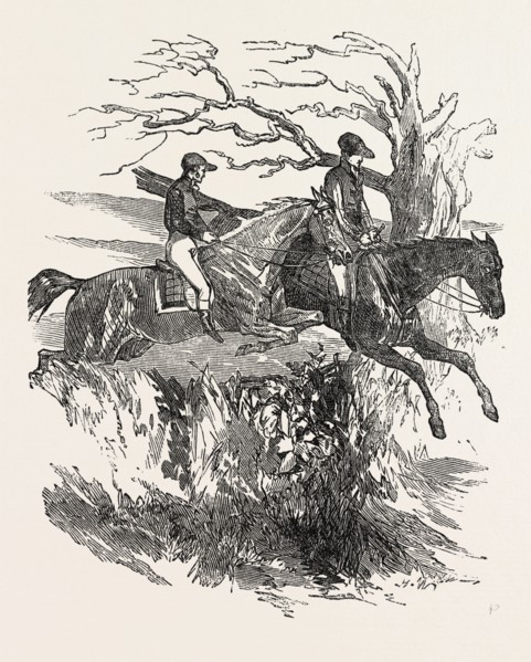 AT A STEEPLE CHASE: An exhilarating sight to see horses taking their leaps into the winning field,