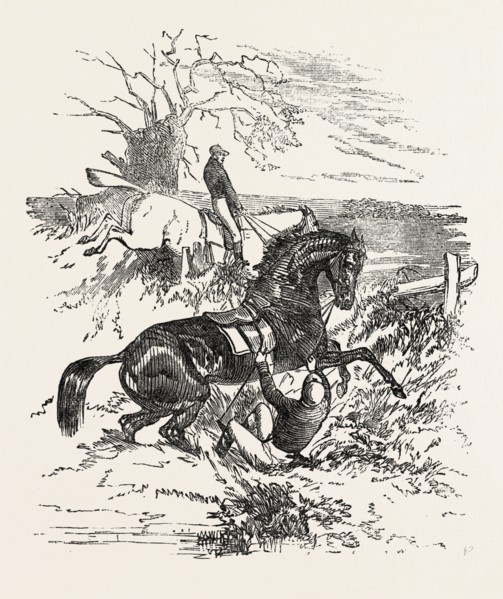 FALLING OFF A HORSE DURING A STEEPLE CHASE, HORSE, SPORT, GALLOP, STEEPLE-CHASING, RACETRACK,