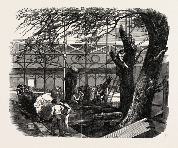 THE GREAT EXHIBITION BUILDING, THE CRYSTAL PALACE, HYDE PARK, LONDON, UK, CUTTING DOWN TREES IN THE