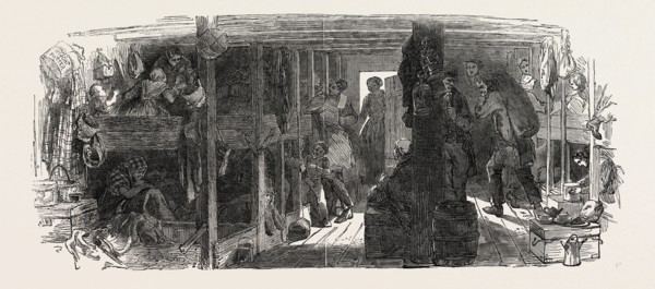 EMIGRATION VESSEL, BETWEEN DECKS, 1851 engraving